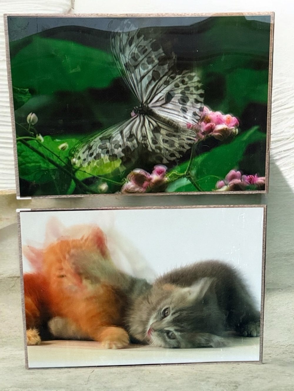 3D Placemats set of two!